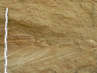 Nahaufnahme einer Abbauwand aus Sand, deren unterste Schicht in schräger, nach rechts aufsteigender Richtung verläuft. Links ist ein Maßband angelehnt. Daneben zeigt sich ein kleiner ovaler Einschluss mit dunklen, waagrechten Streifen.