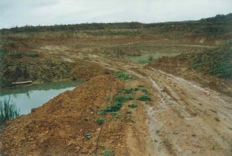 Feinsedimente der Elsässer Molasse in der Tongrube Rümmingen Das Bild zeigt eine große Tongrube. Der anstehende Ton ist hell- bis mittelbraun, am linken Bildrand sieht man Wasser auf der Abbausohle. Im Hintergrund ist Wald zu erkennen.