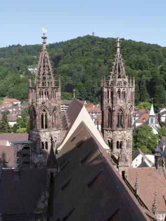 Blick von einem Kirchturm hinab auf das Dach sowie zwei kleinere Türme mit spitzen, offenen Dächern und Spitzbogenfenstern. Die Türme bestehen aus rötlich grauem Gestein. Im Hintergrund ist ein bewaldeter Berg.
