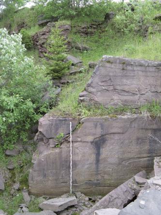 Blick auf rötlich graue, übereinander liegende Gesteinsblöcke, die zum Hintergrund hin stark überwachsen sind. An den vordersten Steinblock ist eine Messlatte angelehnt.