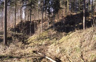 Blick auf ein Waldstück mit überwachsenen, ehemaligen Steinbruchhügeln. 