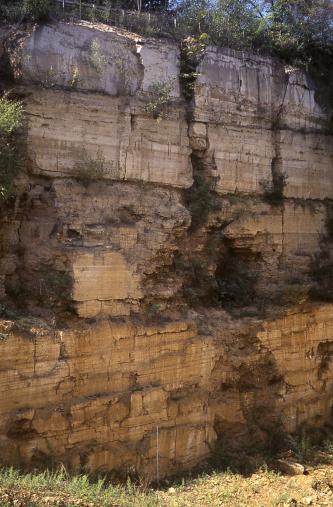 Blick auf eine hohe, unten rötlich braune, oben graue Steinbruchwand. Die Wand ist von Spalten und höhlenartigen Vertiefungen durchzogen.
