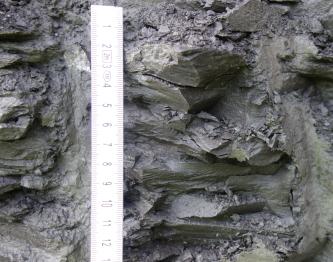 Nahaufnahme von dunkelgrauen Gesteinsplatten, die zwischen hellerem Material hervorstehen. Links der Bildmitte dient ein Maßband als Größenvergleich.