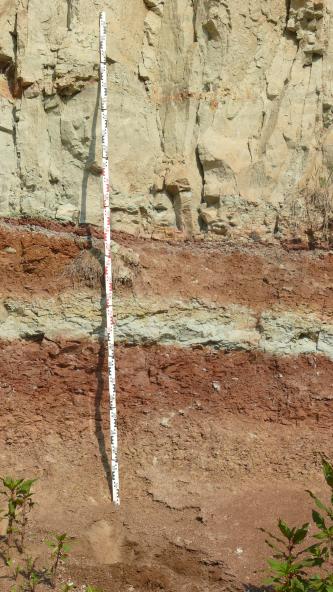 Nahaufnahme einer Abbauwand: Das anstehende Gestein zeigt eine Wechselfolge aus rotbraunen und hellgrau-beigen Gesteinsschichten. Mittig vor der Wand befindet sich ein Maßstab. Am unteren Bildrand sind ein paar Zweige von Büschen zu sehen.