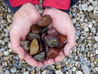 Zwei offene Hände zeigen gesammelte kleine Steine. Die glattgeschliffenen Fundstücke sind gelb, grün, dunkelblau, rötlich und braun gefärbt.