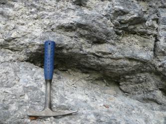 Detailaufnahme eines hell- bis mittelgrauen Gesteins, welches massig bis dickbankig ist und eine linsenförmige Lage in Form einer Hohlkehle in der Bildmitte aufweist. Unten links befindet sich ein Hammer als Maßstab.