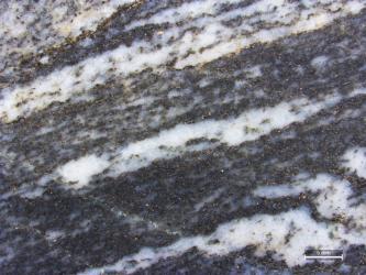 Detailaufnahme eines metamorphen Gesteins mit sehr deutlichen hellen und dunklen Lagen, welche von rechts oben nach links unten durch das Bild verlaufen. Rechts unten befindet sich ein kleiner Maßstab.
