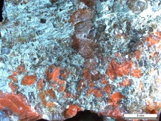 Vergrößerte Aufnahme von hellblauem Gestein, in das rote und braune Kristalle eingelagert sind.