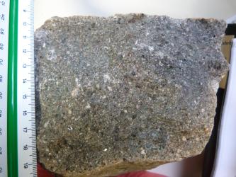 Handstück eines Gesteins, welches eine graugrüne, feinkristalline Grundmasse mit dunkelgrauen, braunen und weißen Einsprenglingen aufweist. Am linken Bildrand befindet sich ein Maßstab, das Handstück hat eine Kantenlänge von etwa 9 cm.