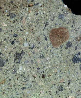 Detailaufnahme eines Gesteins: in der grünlich grauen Grundmasse befinden sich zahlreiche helle Gesteinsbruchstücke, dunkelgrüne Kristalle, ein großer orangener Kristall und zahlreiche schwarze, glasige Einschlüsse.