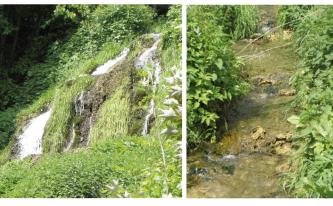 Zweigeteiltes Foto, das links einen Wasserfall mit starker Begrünung und rechts einen schmalen, leicht stufigen Bachlauf zeigt.