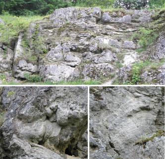 Dreiteiliges Foto mit Detailansichten einer Gesteinsbank, oben geschichtet, links unten mit blumenkohlartigen Strukturen, unten rechts mit „Jahresringen“.