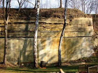 Blick auf eine hinter Bäumen stehende, grünlich graue Gesteinswand. Durch die Wand verlaufen mehrere waagrechte Risse. Die Kuppe ist mit weiteren Bäumen bewachsen.