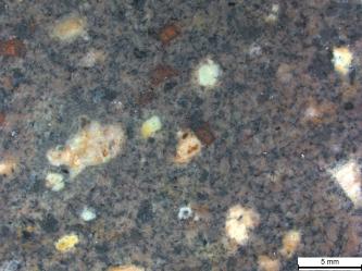 Mikroskopaufnahme eines feinkörnigen, grauen Granits mit farblich hervorgehobenen Einsprenglingen aus Feldspat und Biotit.