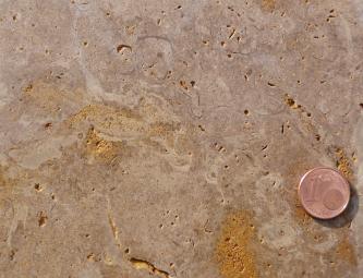 Nahaufnahme einer geschliffenen Gesteinsoberfläche; rötlich grau mit gelblichen Einschlüssen. Rechts unten dient eine Cent-Münze als Größenvergleich.