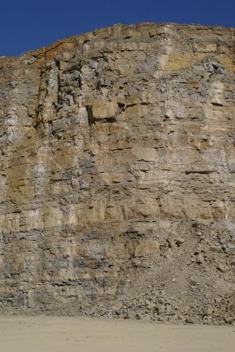 Blick auf eine sehr hohe, senkrecht aufragende Steinbruchwand. Das grünlich graue Gestein ist dünn- bis dickbankig. Rechts unten ist ein Schutthaufen erkennbar.