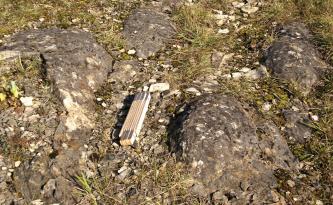Das Foto zeigt mehrere gewölbte Gesteinsbrocken, die aus einem mit Gras und kleineren Steinen bedeckten Bodenstück herausragen. Ein mittig abgelegter Meterstab dient als Größenvergleich.