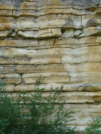 Teilansicht einer Steinbruchwand; das gelblich graue plattige Gestein ist teils dünn, teils dicker gebankt. Am Fuß der Wand wachsen Sträucher. 