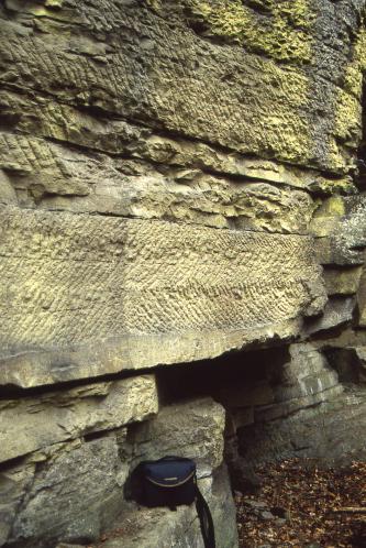 Seitlicher Blick auf eine Steinbruchwand mit grünlich grauem Gestein und zahlreichen tiefen Einkerbungen. Im unteren Teil des Bruchs ist zudem eine Nische erkennbar.