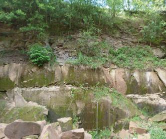 Das Foto zeigt zwei treppenartig übereinanderstehende Steinbruchbänke, mit größeren braungrünen Blöcken. Darüber, einen mit Bäumen und Sträuchern bewachsenen Hang hinauf, stehen dünnplattige Gesteinsschichten an.