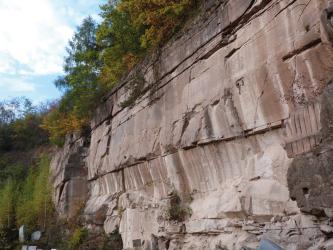 Seitlicher Blick auf eine hohe, bräunlich graue Steinbruchwand. Am hinteren Ende der Wand (links im Bild) sowie auf der Kuppe stehen Bäume und Sträucher.