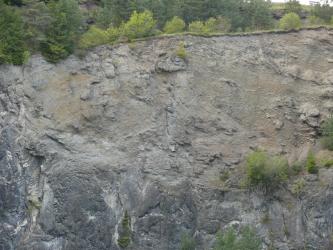 Teilansicht einer grauen, oben auch bräunlich gefärbten Steinbruchwand. Am oberen Rand wachsen Bäume und Sträucher.