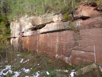Seitlicher Blick auf eine Steinbruchwand mit roten, bis zu 3 m mächtigen Sandsteinbänken. Im Vordergrund rechts sieht man die Teilverfüllung des Steinbruchs. Oberhalb der Steinbruchwand liegt ein Wald.