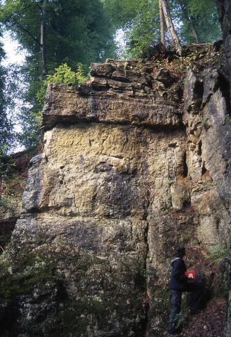 Blick auf eine alte, bewachsene Steinbruchwand mit großen, dunklen Blöcken im unteren Bildteil und helleren Bänken in der Bildmitte. Die bewaldete Kuppe ist wieder dunkler und dünnbankig.