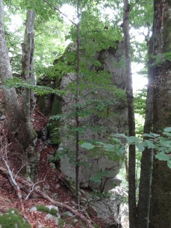 Blick auf einen frei stehenden, hohen Felsturm an der Kante eines steilen Waldhanges. Der Waldhang fällt von links nach rechts hin ab.