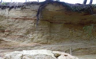 Das Bild zeigt eine tiefe, gelblich braune Sandgrube, die von waagrecht laufenden Rissen durchzogen ist. Am Fuß der Grube zeigen sich hellere Streifen, aber auch gröberes Material.