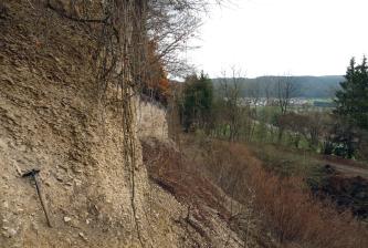 Das Bild zeigt einen aus feinem Schutt bestehenden, graugelben Hang, der nach rechts hin schräg abfällt. Kuppe und Fuß des Hanges sind bewachsen. Rechts öffnet sich der Blick auf eine Ortschaft und bewaldete Höhen.