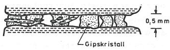 Längliche Zeichnung in Schwarzweiß, die kleinste, unregelmäßig geformte Gipskristalle zwischen Schichtfugen von Gestein zeigt.