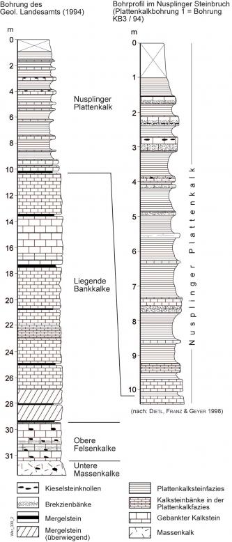 Schwarzweiße Grafik, die den Schichtaufbau im Oberjura von Nusplingen nach Bohrbefunden als Säulenprofil darstellt.