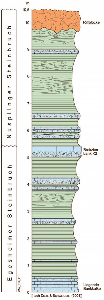 Farbig ausgeführtes Säulenprofil der Steinbrüche Nusplingen (oben) und Egesheim (darunter); dargestellt ist die Wechselfolge von Plattenkalken und Brekzienbänken.